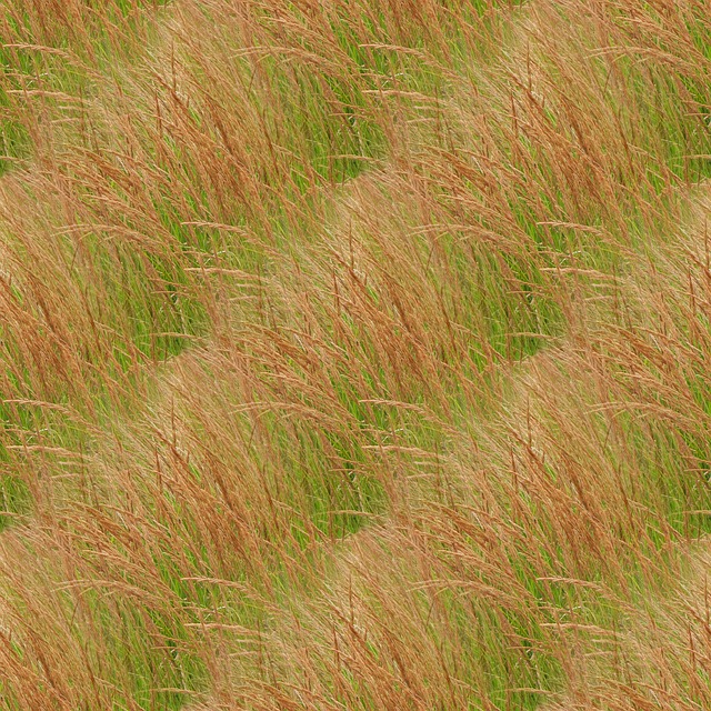 Texture Plants Herb - Free photo on Pixabay - Pixabay
