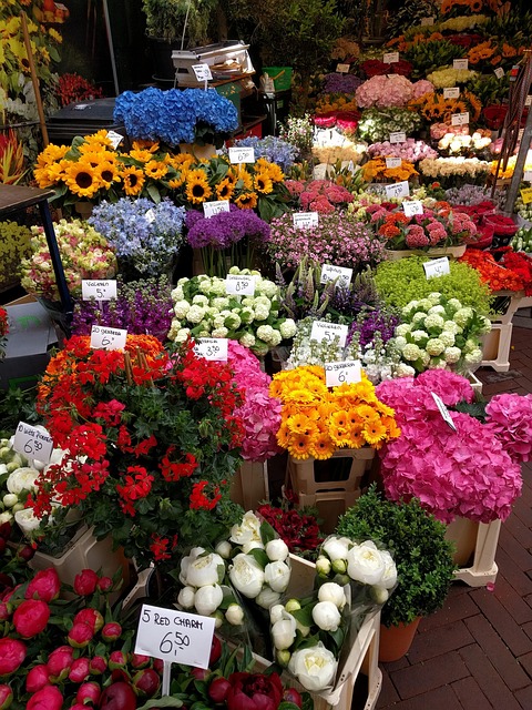 Free Flowers Market photo and picture