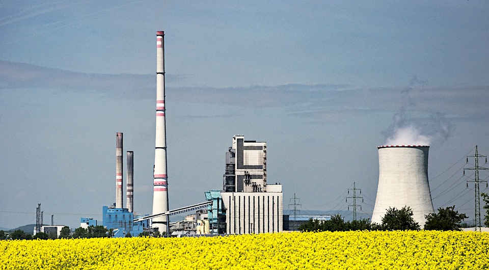 Biopaliv, Elektrárna, Řepkový