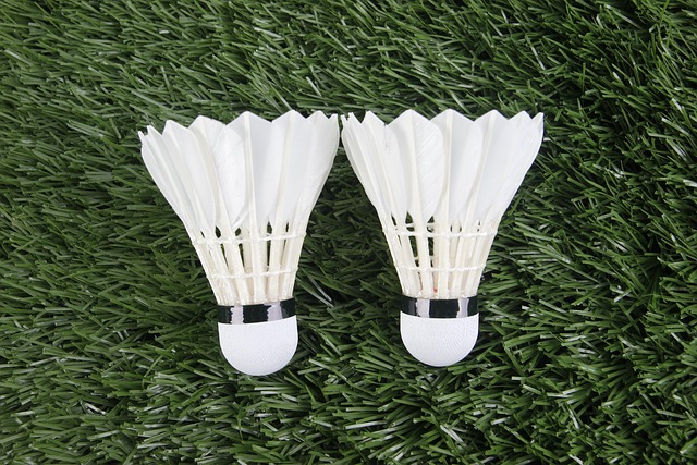 badminton, sports, shuttlecock, badminton, badminton, badminton, badminton, badminton, shuttlecock