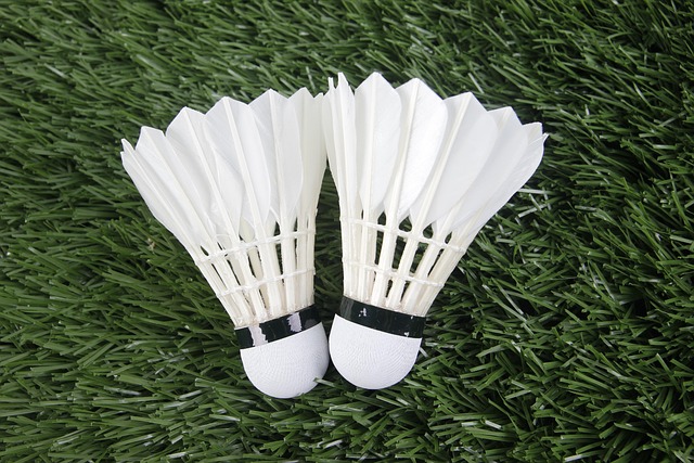 badminton, sports, shuttlecock, badminton, badminton, badminton, badminton, badminton, shuttlecock