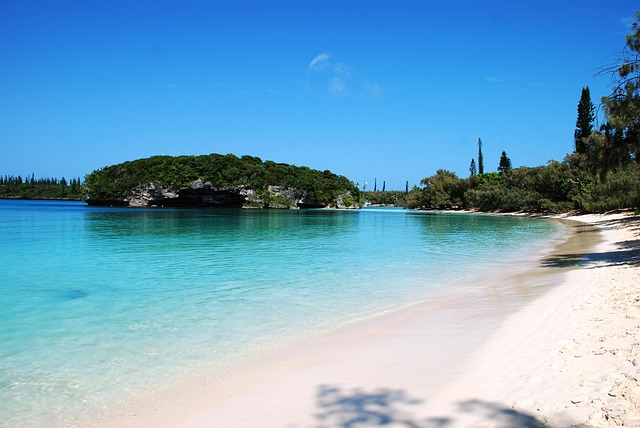 Free Beach Summer photo and picture