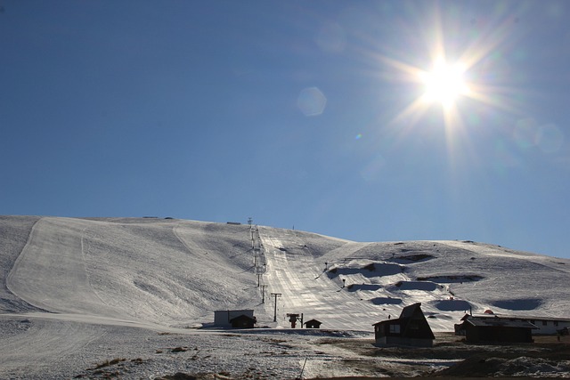 Free Sunshine Ice photo and picture