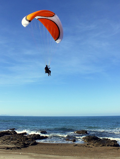 Free Glider Paraglider photo and picture