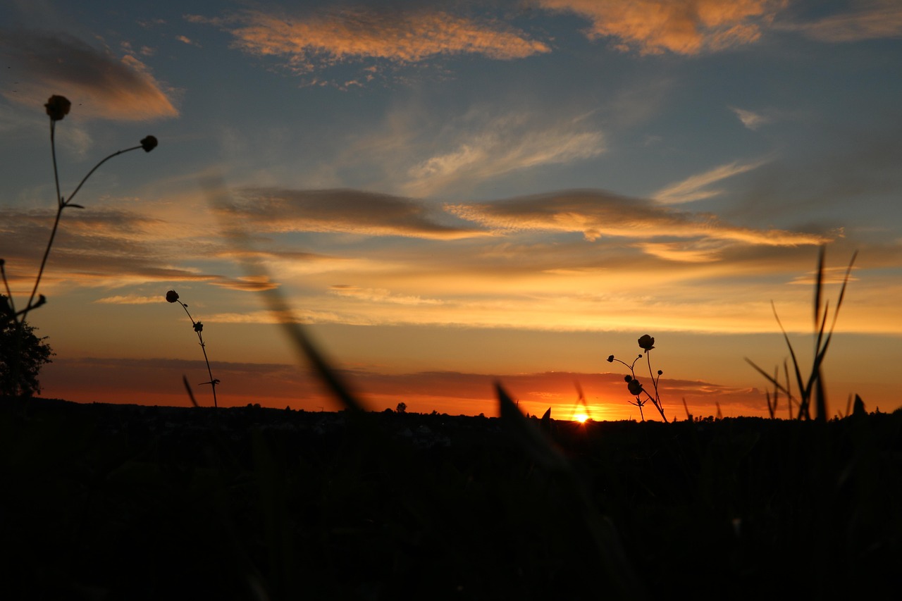 日落 傍晚的天空 草地 - Pixabay上的免费照片 - Pixabay
