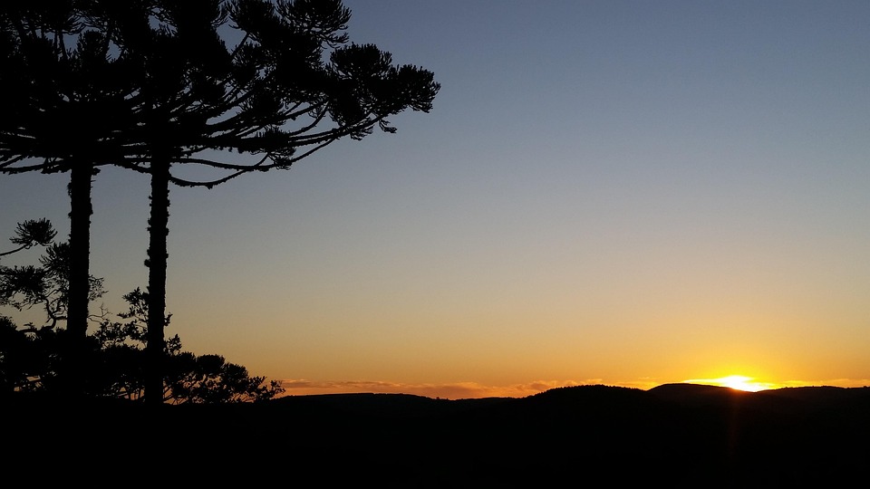 Caminho de Santiago: A Pilgrim’s Journey through Portugal