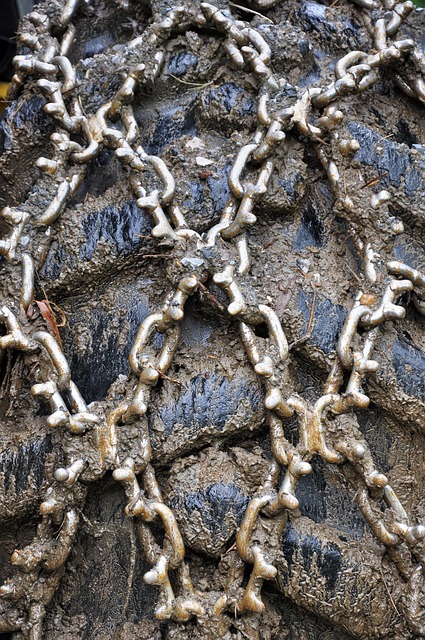 Free Tire Chains photo and picture