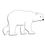 bear, animal head, animal