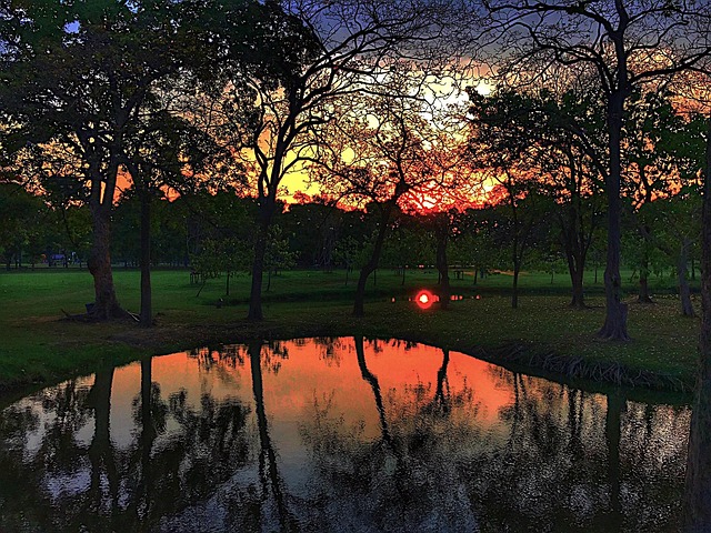 Puesta Del Sol Parque Ferroviario - Foto gratis en Pixabay - Pixabay