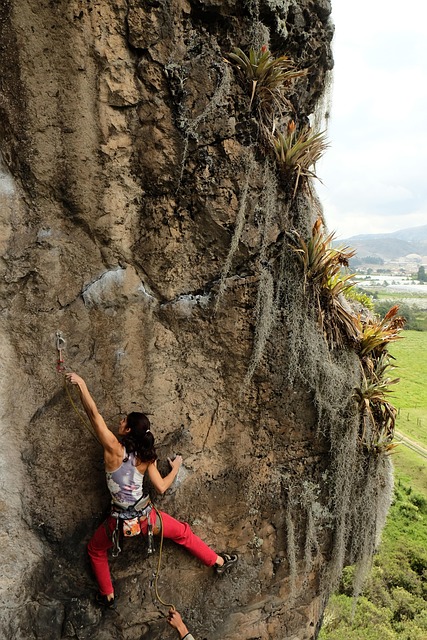Free Climber Rock photo and picture