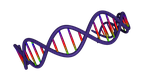 dna, 3d, medical