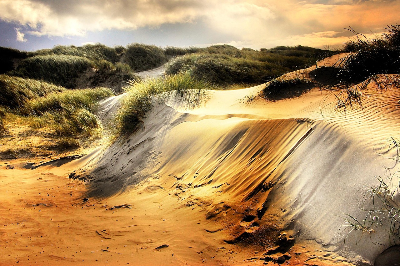 Sand Dunes North Sea Beach - Free photo on Pixabay - Pixabay