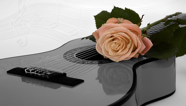 Free Guitar Rose photo and picture