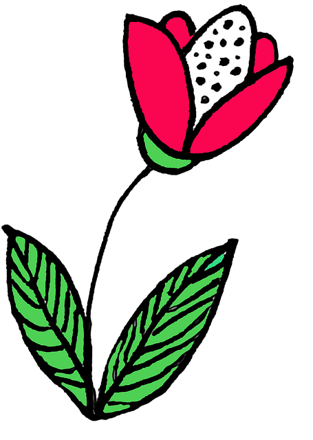 Blomst, Nosegay, Natur, Flora, Sommer