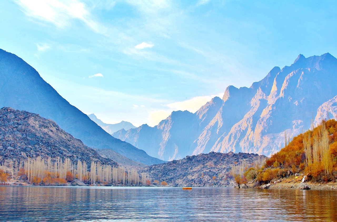 Tree - free online jigsaw puzzle photo