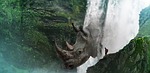 rhino, fantasy, imaginary