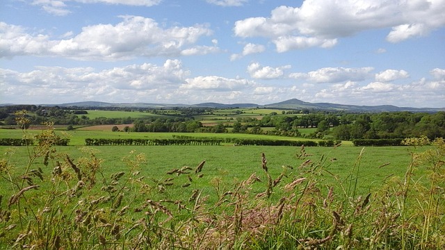 Free Ireland Fields photo and picture
