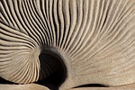 sculpture, art, argonaut