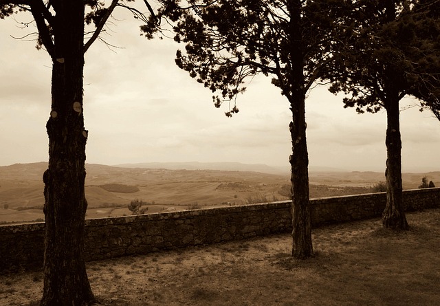 Free Tuscany Vacations photo and picture