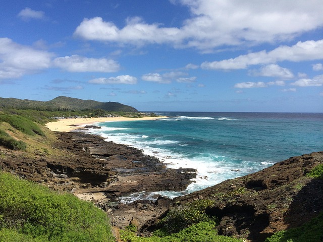 Free Hawaii Beach photo and picture