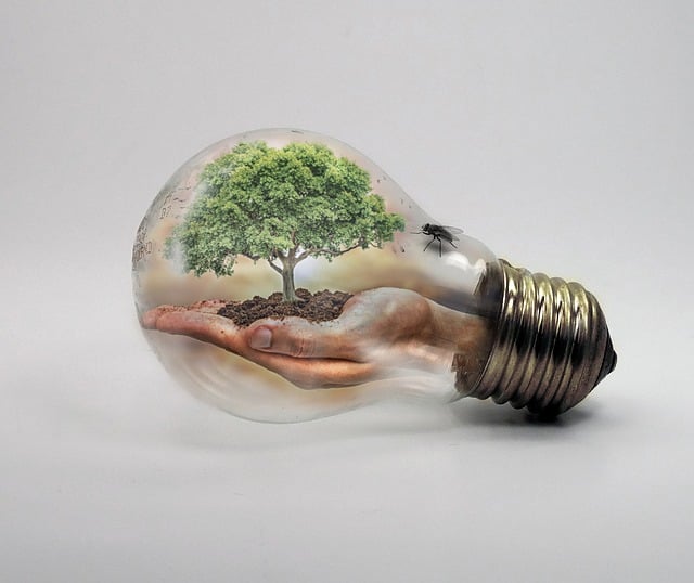 Free bulb nature ecologycurrent illustration