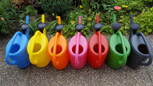 Free Watering Can Multicoloured photo and picture