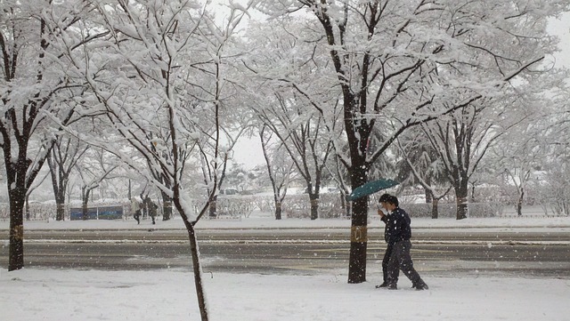 Free Snow Road photo and picture