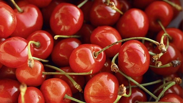Free Cherry Food photo and picture