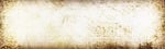 banner, header, homepage