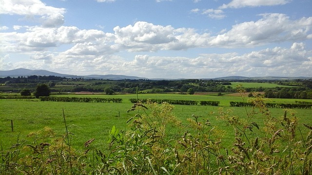Free Ireland Green photo and picture