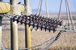 insulators, hv, electricity