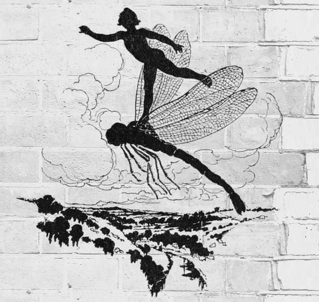 Free fairy fantasy dragonfly illustration