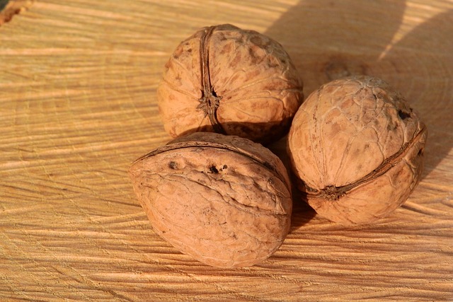 Free Nuts Walnuts photo and picture