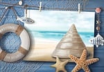 sea, conch, summer
