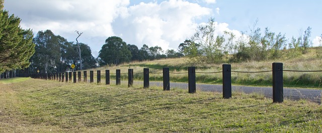 Free Fence Field photo and picture