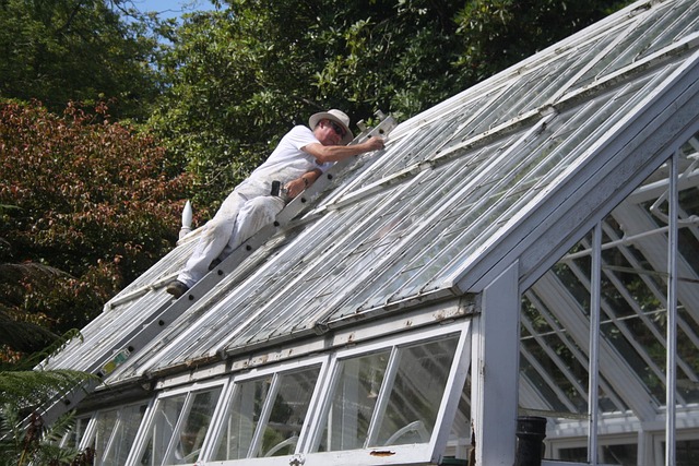Free Glasshouse Cultivate photo and picture