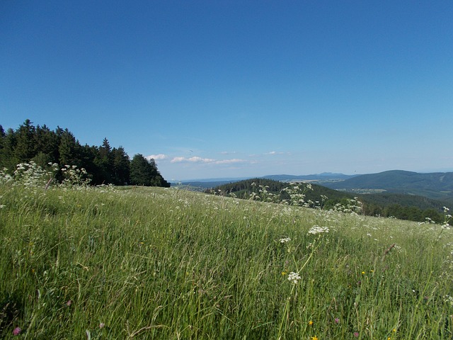 Free big lopeník the white carpathians czech republic illustration