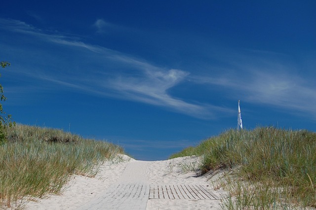 Free Beach Sand photo and picture