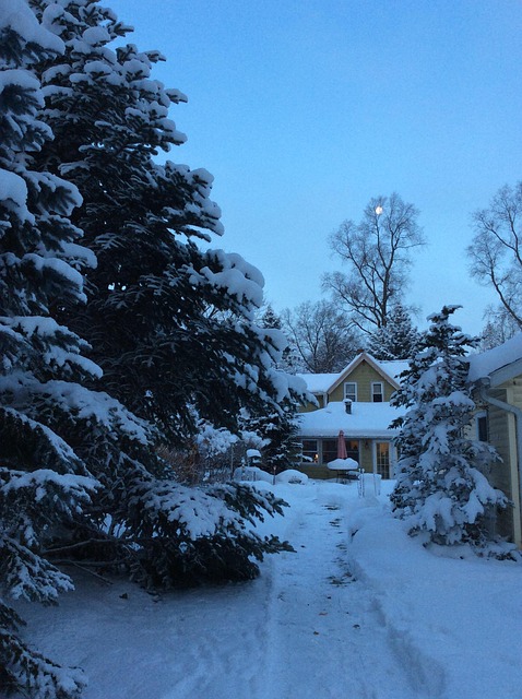 Free Home Winter photo and picture