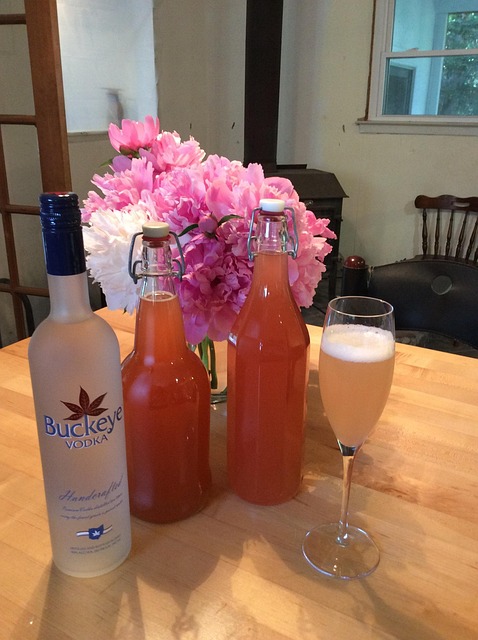 Free Rhubarb Cordials Home-Brew photo and picture