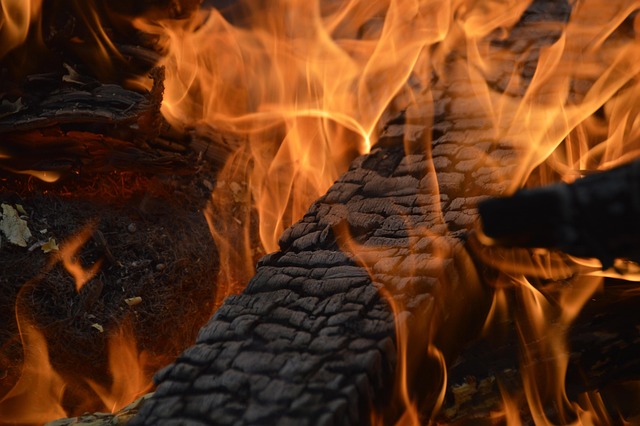 Incêndio, Queimar, Fogueira, Chamas