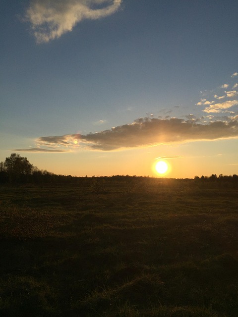 Campo, Sol, Primavera