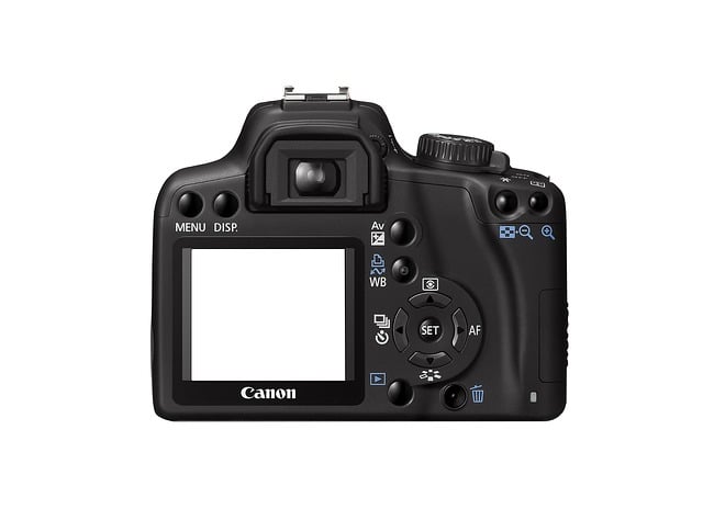 Free camera isolated white illustration