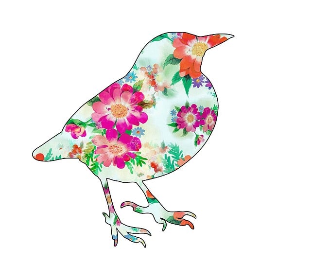 Free bird blackbird floral illustration