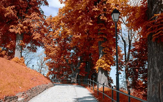 Перемишль, Polen, Europa, Stadt, Brücke