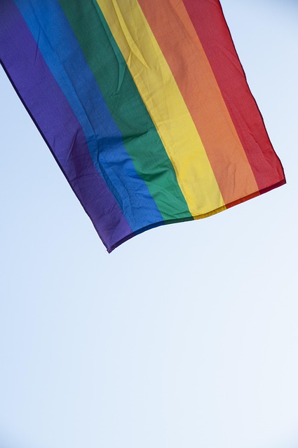 Free Pride Flag photo and picture