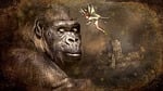 fairy tales, elf, gorilla