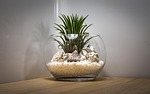 teal blue asia, this is the last company, fish tank