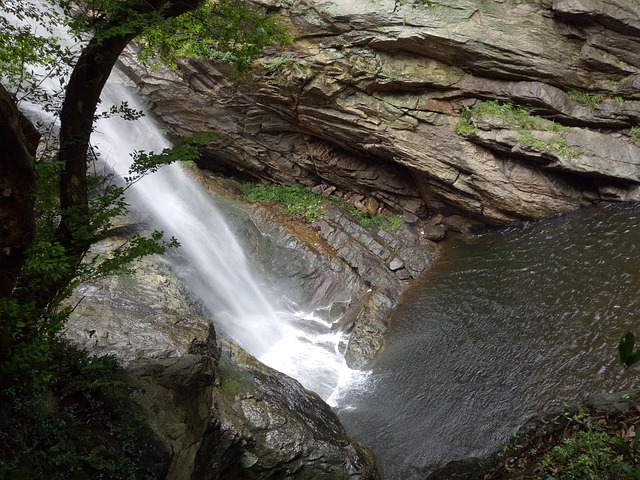 Free Fall Brooks photo and picture