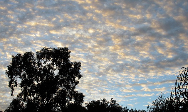 Free Sky Evening photo and picture
